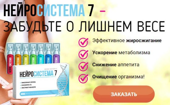 Нейросистема 7