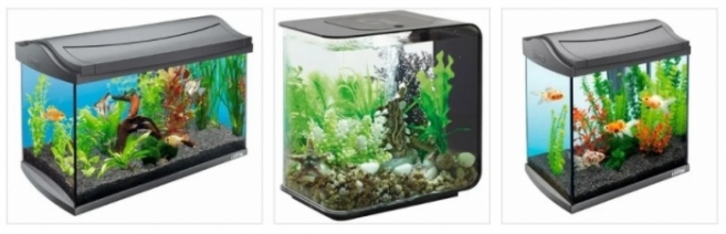Выбираем аквариум
